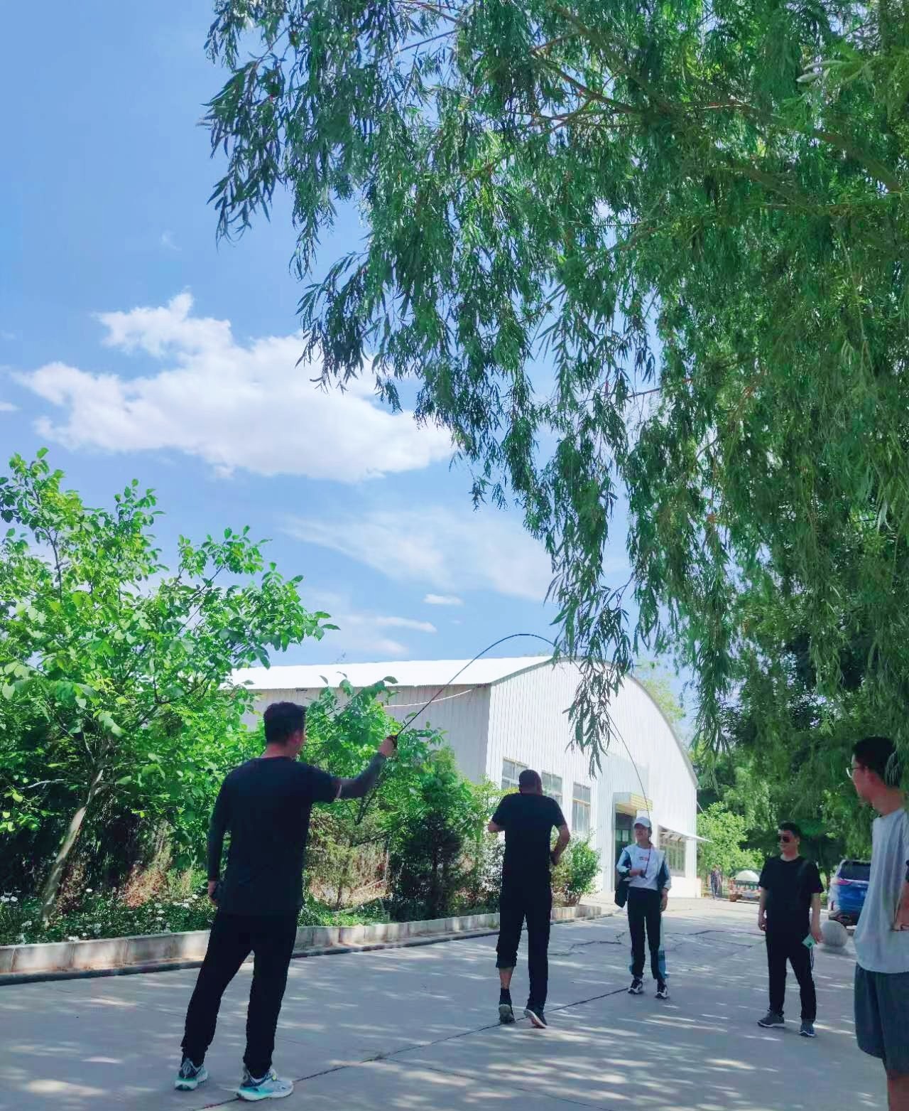 1654161084448125.jpg 1654161084448125.jpg